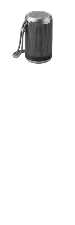 Замена динамика на портативных колонках в Ростове-на-Дону